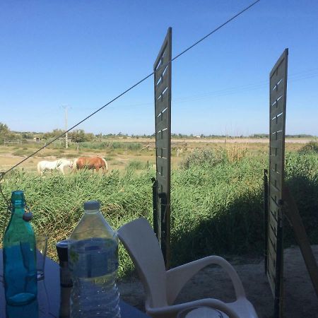 En Camargue Διαμέρισμα Salin-de-Giraud Εξωτερικό φωτογραφία