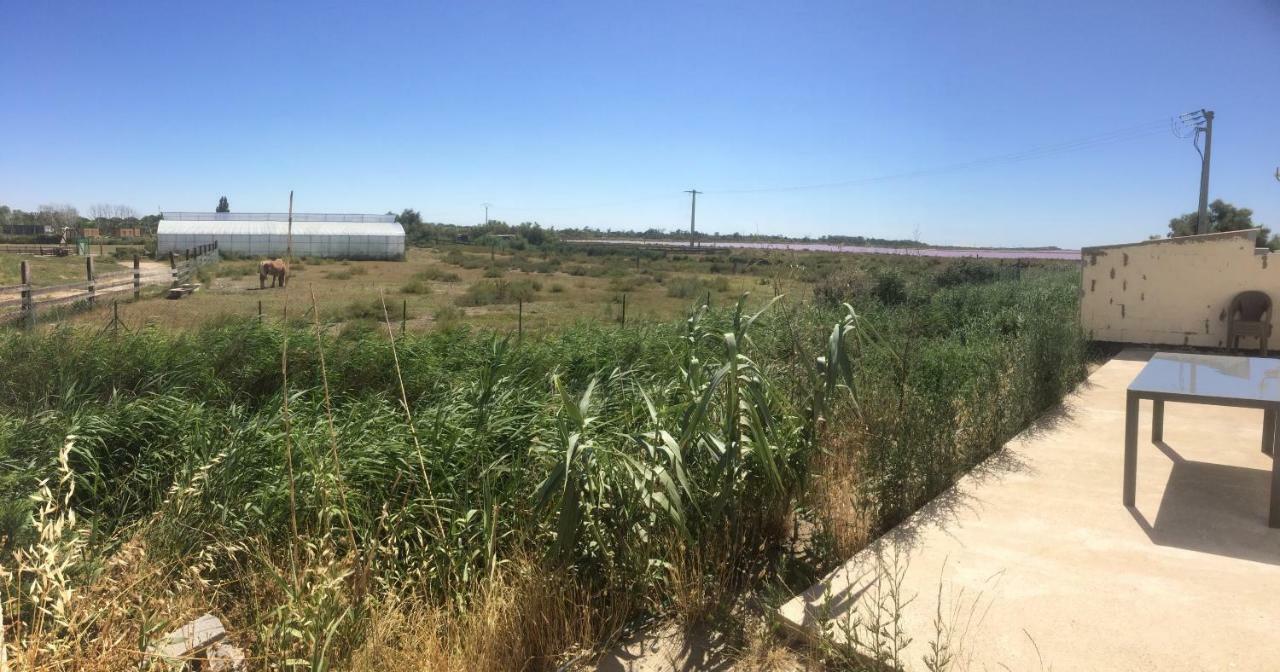 En Camargue Διαμέρισμα Salin-de-Giraud Εξωτερικό φωτογραφία